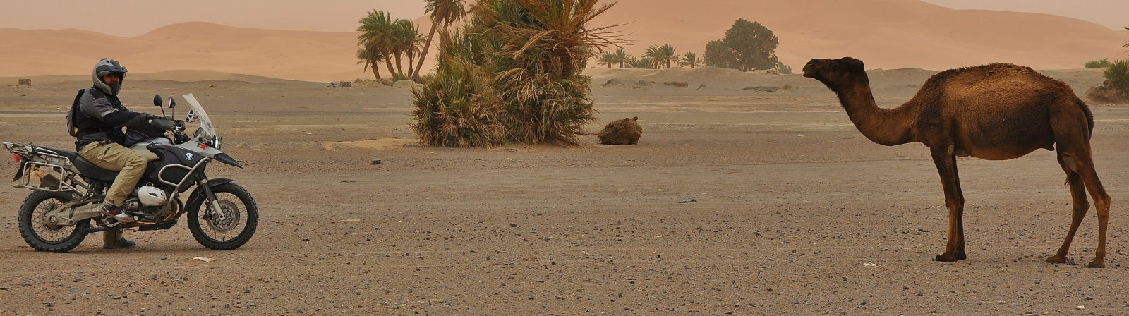Tour de Mota por Marrocos